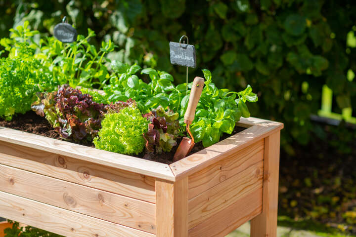 WESTMANN Hochbeet Emily inklusive Ablage